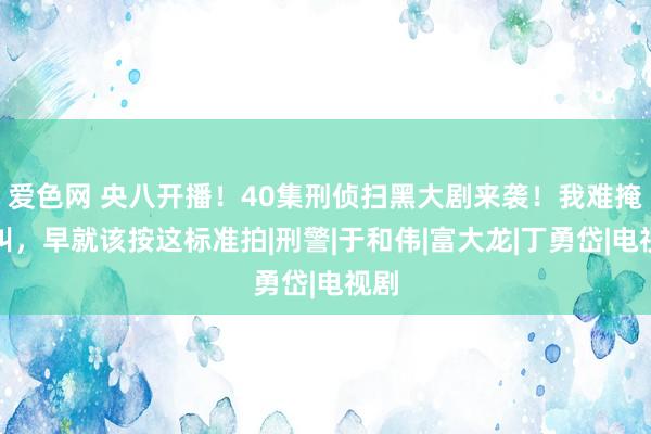 爱色网 央八开播！40集刑侦扫黑大剧来袭！我难掩欢叫，早就该按这标准拍|刑警|于和伟|富大龙|丁勇岱|电视剧